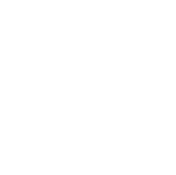 Youth Imperative